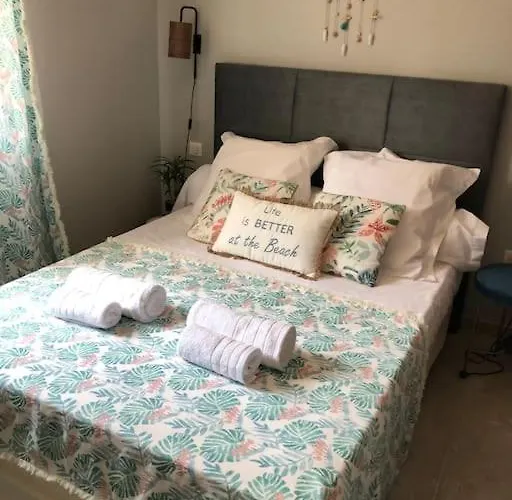 Neuve Avec Piscine 博尼法乔